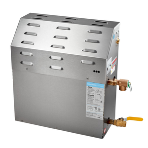 Steam Generator 12kW