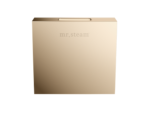 AromaSteam Steamhead