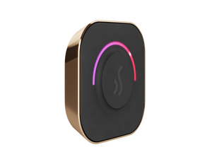 TempoTouch™ Controller
